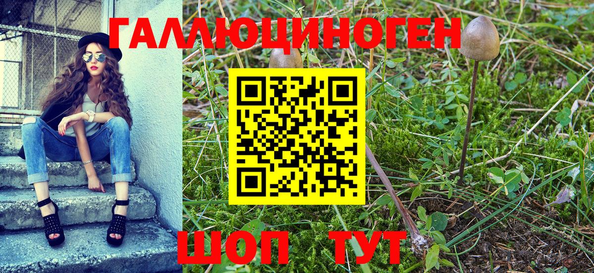 купить   Галлюциногенные грибы ЛСД  Вход с VPN  Галлюциногенные грибы Magic Shrooms  Бердск 