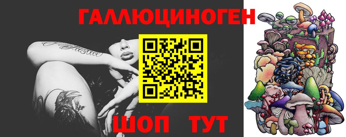 Псилоцибиновые грибы мицелий Бердск